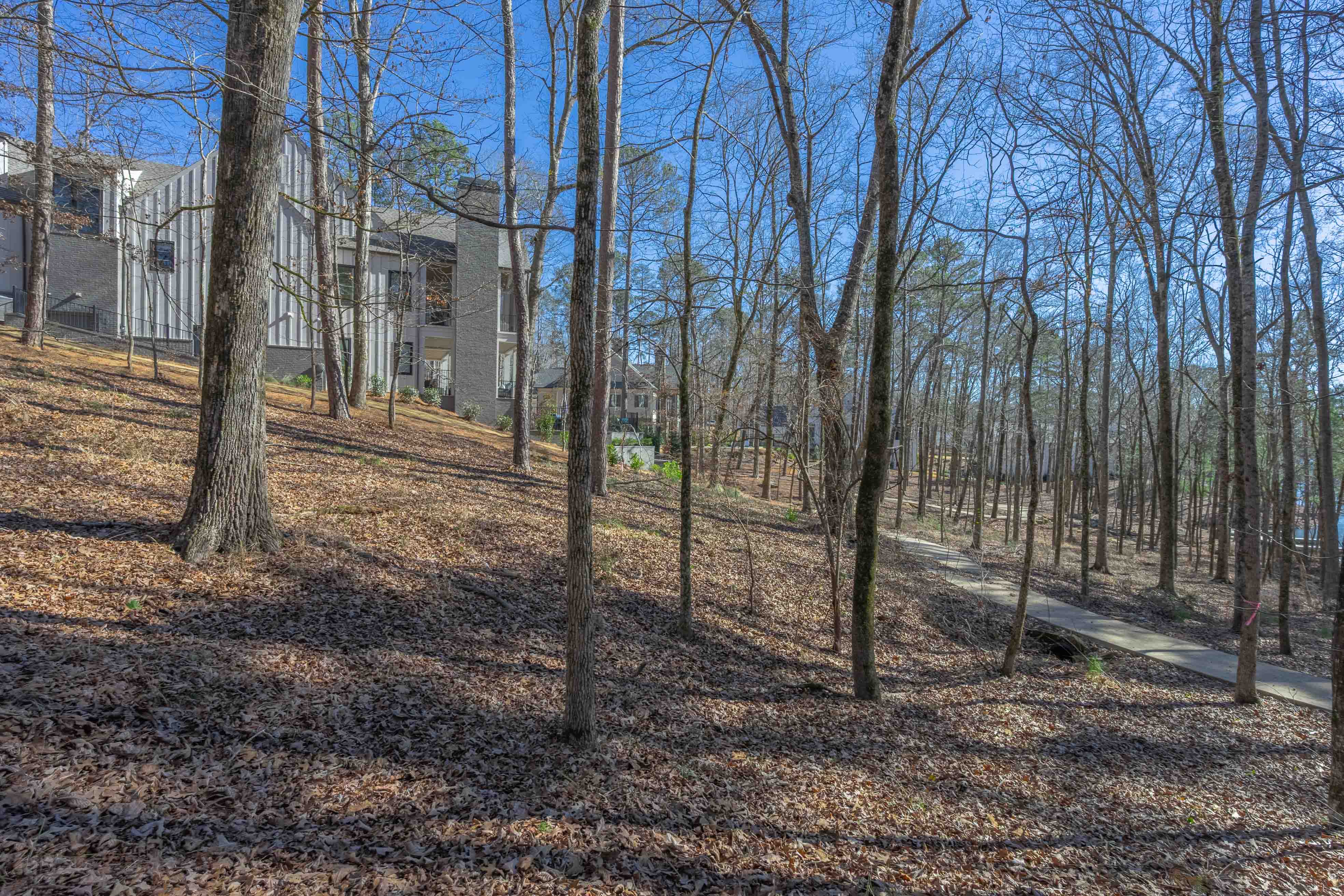 1261 Jumping Rock Drive image 8